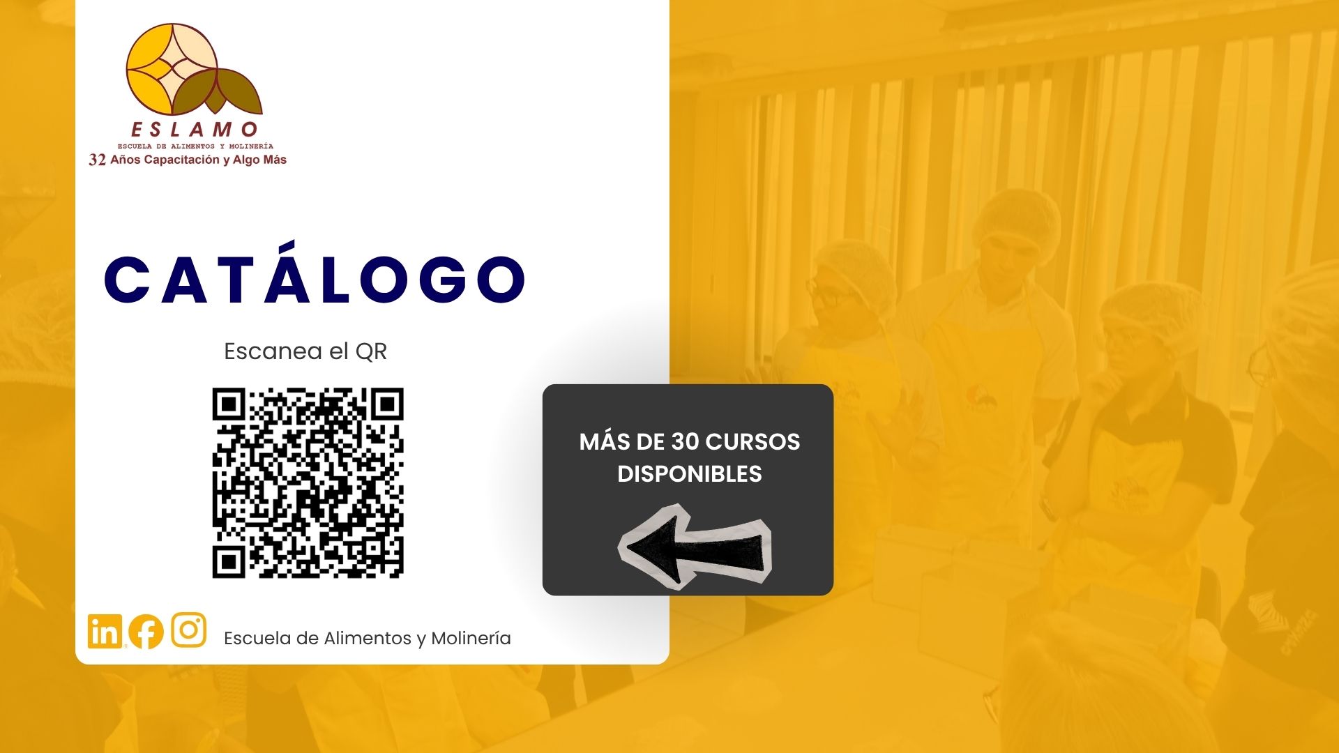 CATÁLOGO DE CURSOS ON LINE 2026